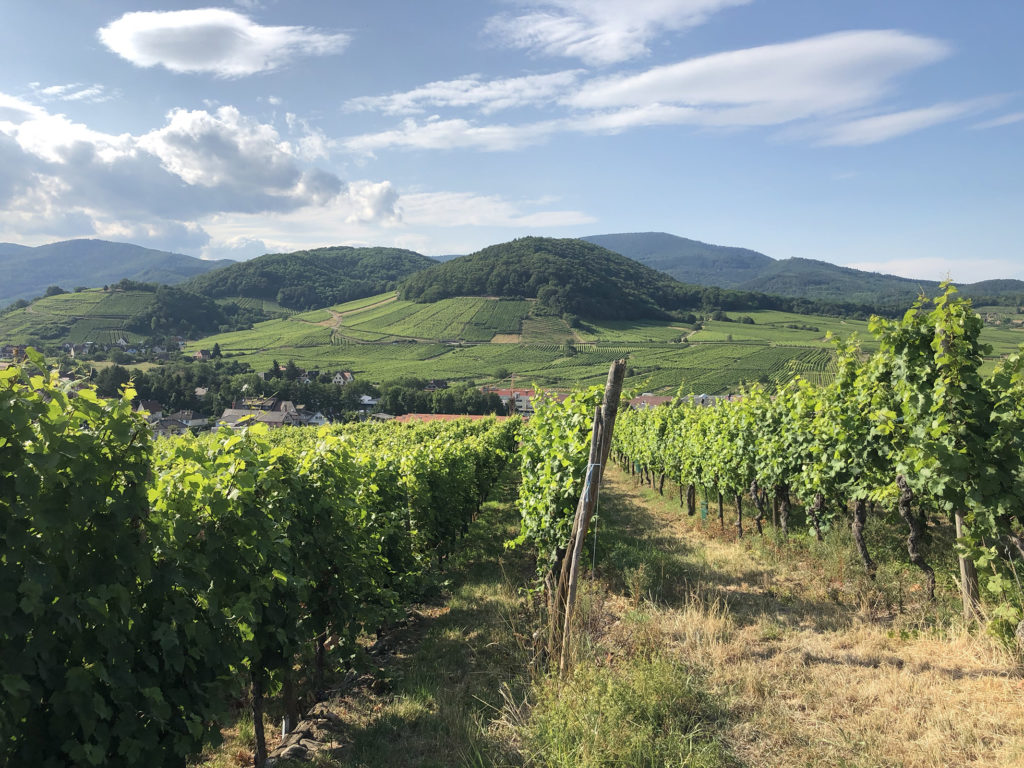 Stammtisch Domaine Kreydenweiss