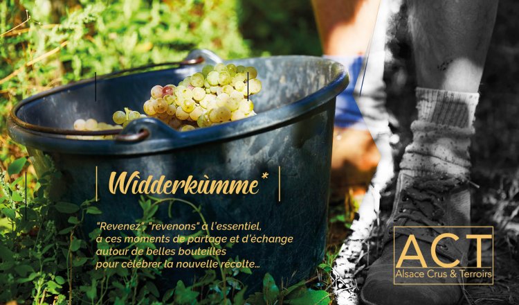 Wìdderkùmme 2021 : la fête des vendanges en Alsace !